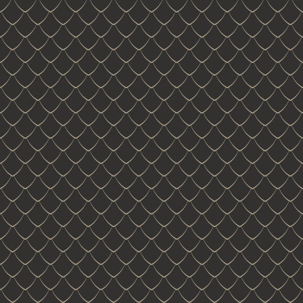 Dragon Scales Stock Photos, Pictures & Royalty-Free Images - iStock Dragon Scales Stock Photos, Pictures & Royalty-Free Images - iStock