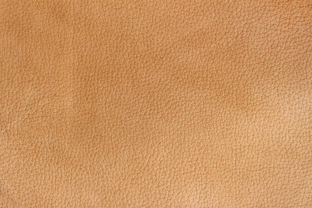 textura de color beyge marrón de cuero plano, impresión. fondo, telón de fondo, espacio de copia - pattern hide beige textured fotografías e imágenes de stock