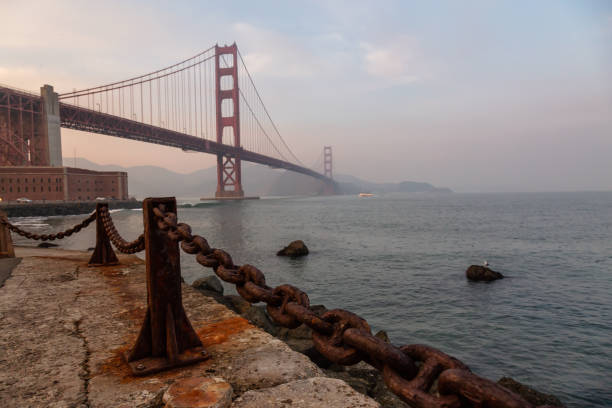 サンフランシスコ - golden gate bridge nature vacations fog ストックフォトと画像