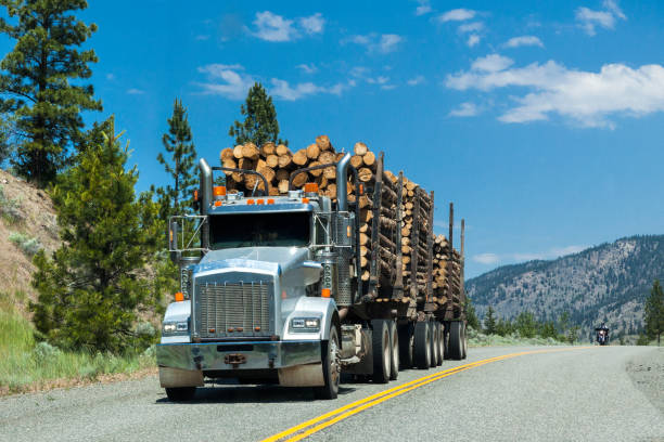 브리티시 컬럼비아, 캐나다의 캐나다 록 키 산맥에서 세미 트럭 - lumber industry truck truck driver log 뉴스 사진 이미지