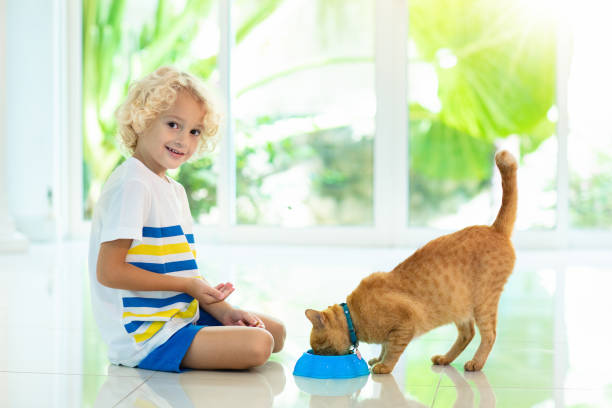 istock Child feeding home cat. Kids and pets. 1126511248