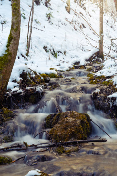 istock Soft stream of fresh mountain water in winter forest 1126511789
