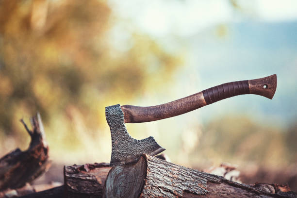 Wood and axe in tre forest stock photo