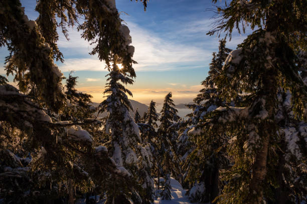 istock Canadian Landscape 1126513790