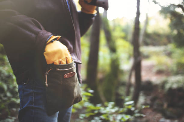istock Hiking through a forest and collecting 1126514400