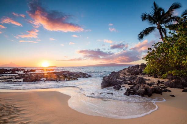 istock Tropical Beach scene on Maui 1126514832