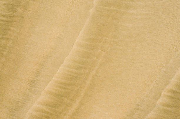 sand texture in Gold desert