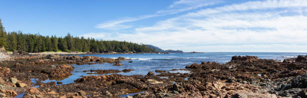 istock Vancouver Island Ocean Coast 1126520485