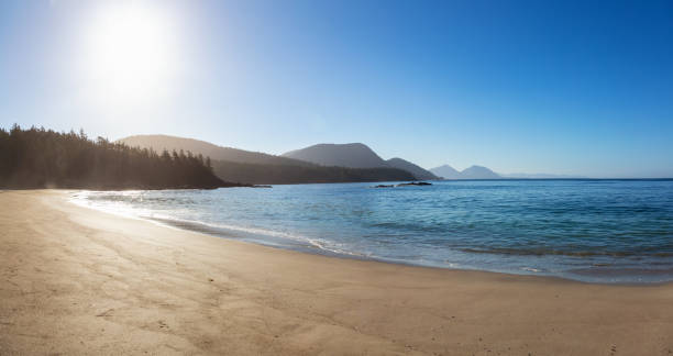 vancouver island coast - canadian beach imagens e fotografias de stock