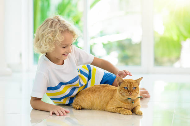 istock Child feeding home cat. Kids and pets. 1126521930