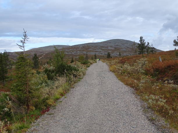 Hiking trail to Taivaskero