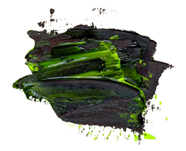 illustrazioni stock, clip art, cartoni animati e icone di tendenza di tratto pennello a olio verde e nero strutturato, isolato su sfondo bianco, illustrazione vettoriale eps10. - oil painting fine art painting abstract brush stroke