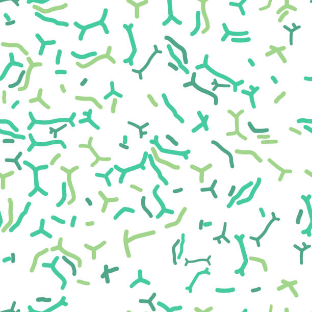 Bifidobacterium seamless pattern Bifidobacterium seamless pattern. Genus of gram-positive anaerobic bacteria. Editable vector illustration in green colors isolated on white background. Medical, healthcare and scientific concept. probiotic pattern stock illustrations