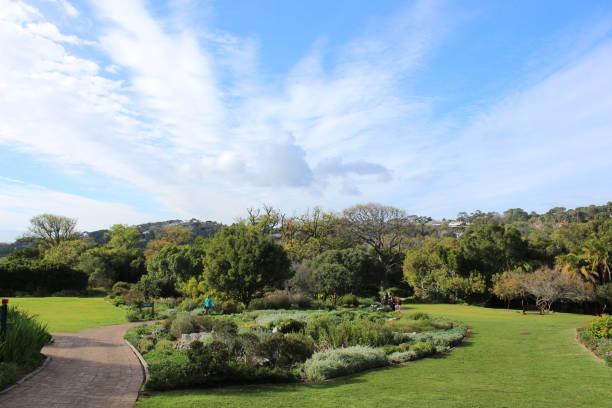 istock Kirstenbosch national botanical gardens layout 1126527812