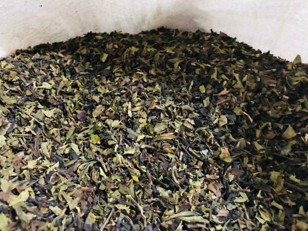 close-up of natural tea leaves drying in white fabric basket