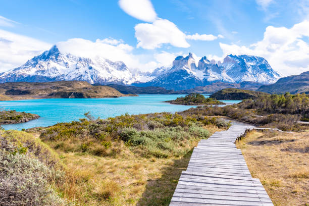 istock Torres del Paine National Park, Chile 1126528145