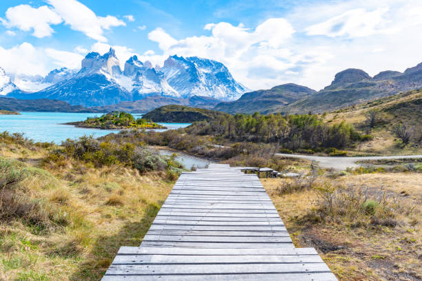 istock Torres del Paine National Park, Chile 1126528462
