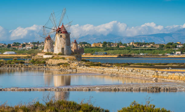 moinhos de vento na reserva natural do "saline dello stagnone" perto de marsala e trapani, sicília. - trapani - fotografias e filmes do acervo