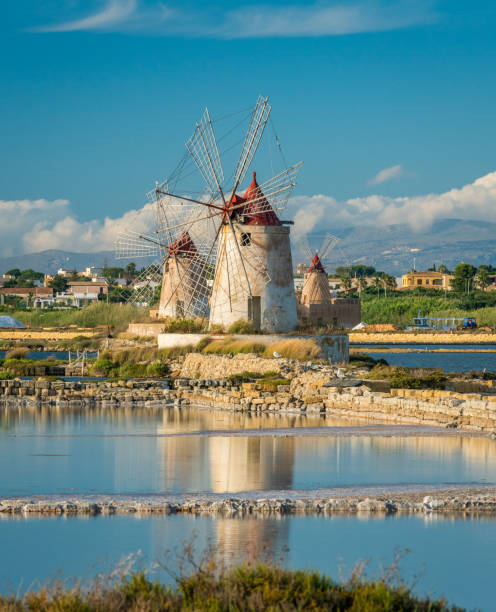 moinhos de vento na reserva natural do "saline dello stagnone" perto de marsala e trapani, sicília. - trapani - fotografias e filmes do acervo