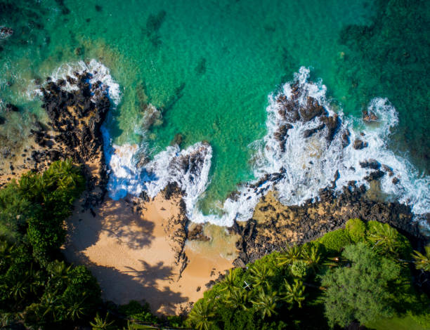 istock Aerial View of Coastal Maui 1126529867