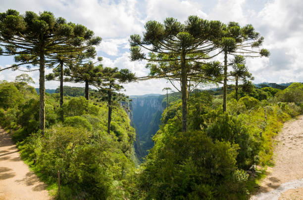istock Beautiful landscape of Itaimbezinho Canyon 1126529962