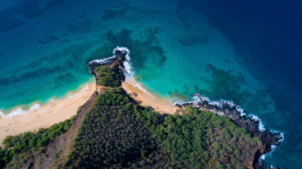 istock Aerial View of Coastal Maui 1126529997