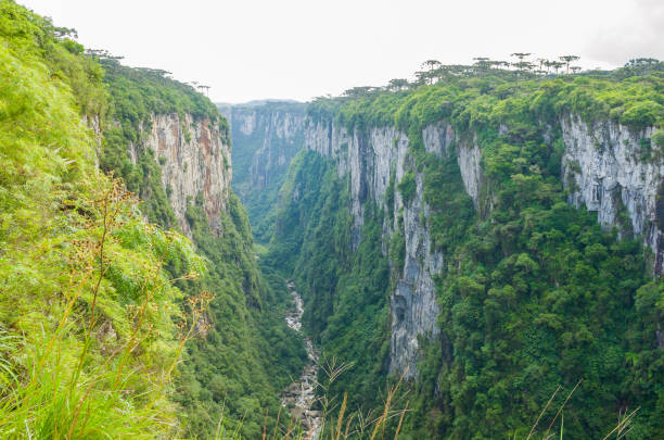 istock Beautiful landscape of Itaimbezinho Canyon 1126530170