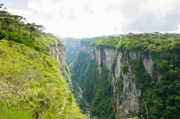 istock Beautiful landscape of Itaimbezinho Canyon 1126530704