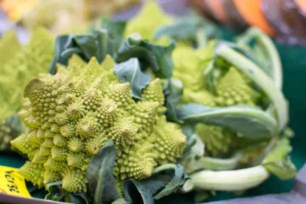 Photo of Close up image of romanesco broccoli, broccoflower