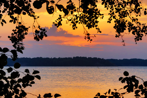 Midsummer sunset reflecting on water and framed with foliage in southern Finland, Padva, Raseborg