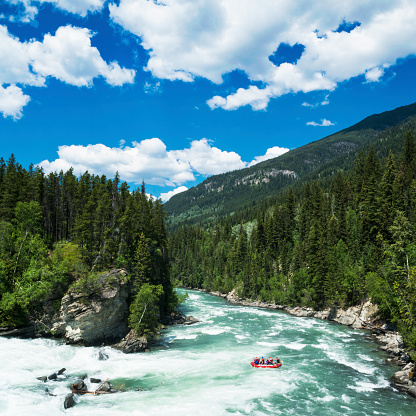 People white water rafting on the Fraser River in the beautiful wilderness landscape of of the Canadian Rockies of British Columbia, Canada.