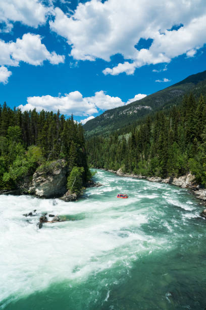 white water rafting en el río fraser en el canadienses montañas rocosas de columbia británica, canadá - rafting beauty in nature blue canada fotografías e imágenes de stock