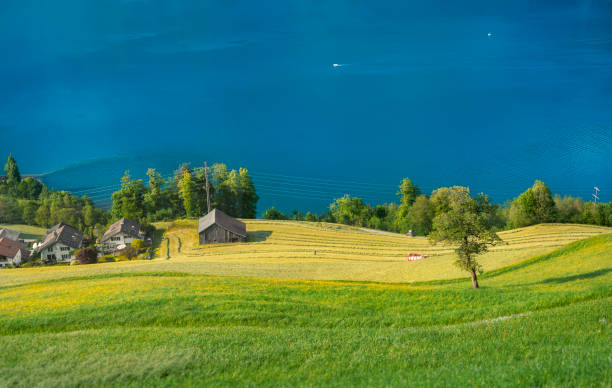 istock Green fields and blue lake in Swiss village 1126538489