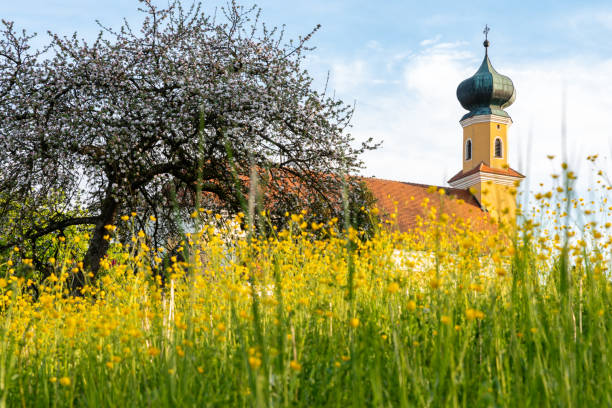 istock bavarian church seen through a blooming meadow 1126542613