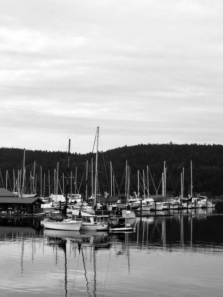 istock Beautiful day at the Marina 1126544948
