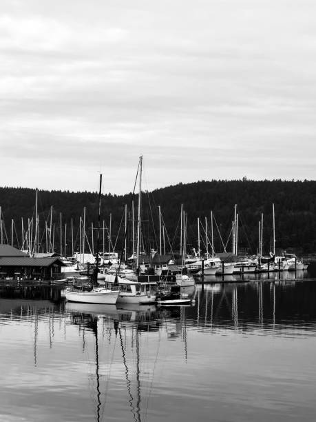 istock Beautiful day at the Marina 1126544951