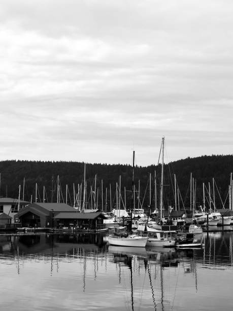 istock Beautiful day at the Marina 1126544952