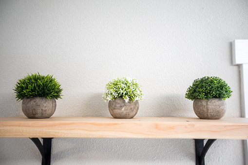 Faux plants in concrete pots on a wooden shelf indoors