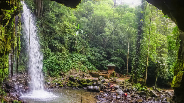 красивый водопад в джунглях борнео - tropical rainforest tropical climate waterfall landscape стоковые фото и изображения