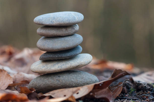 istock stone balance on autumnal leaves in the forest 1126562268