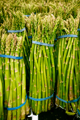 Many shots of yummy green  asparagus standing stalks