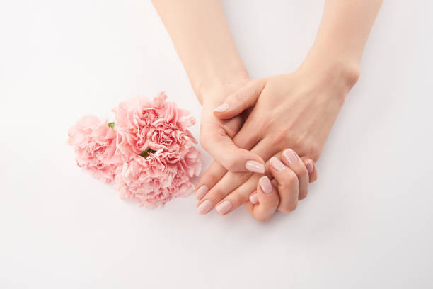 istock Partial view of female hands and carnations flowers on white background 1126565375