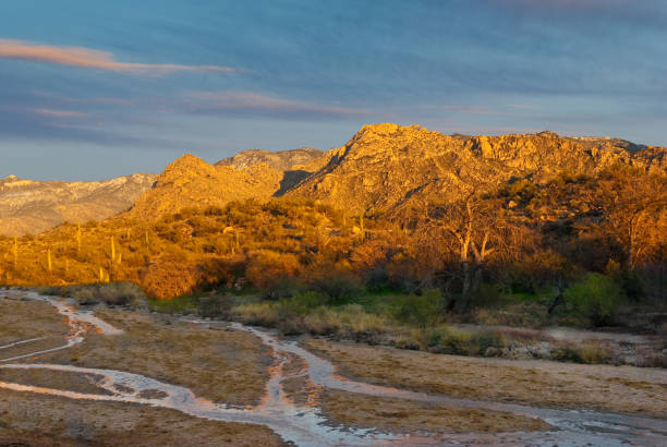 The Santa Catalina Mountains at Sunset The Santa Catalina Mountains formed about 20 million years ago when tremendous heat and pressure from volcanoes caused this flat land to buckle and arch. This photograph of Sutherland Wash and the Santa Catalina Mountains was taken at sunset in Catalina State Park near Oro Valley, Arizona, USA. jeff goulden national park stock pictures, royalty-free photos & images