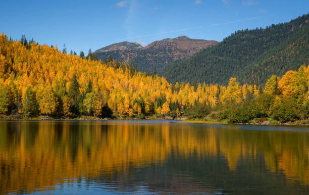 istock The beginning of autumn in mountains 1126571679