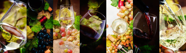 빨간색과 흰색 와인, 알코올 안경에서 컬렉션입니다. 와인 시음입니다. - sauvignon blanc 이미지 뉴스 사진 이미지