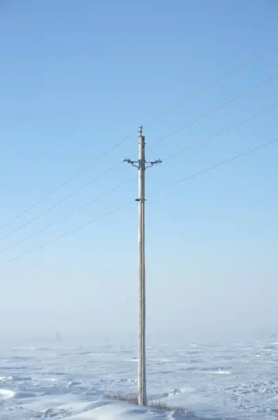 A single wood electricity pole next to a farm field on a windy winter day. Blue sky for copy space.