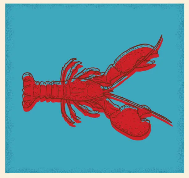 Vector illustration of Seafood lobster drawing