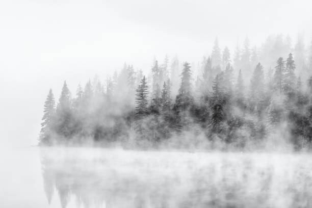 istock Jasper National Park in Alberta Canada 1126573269