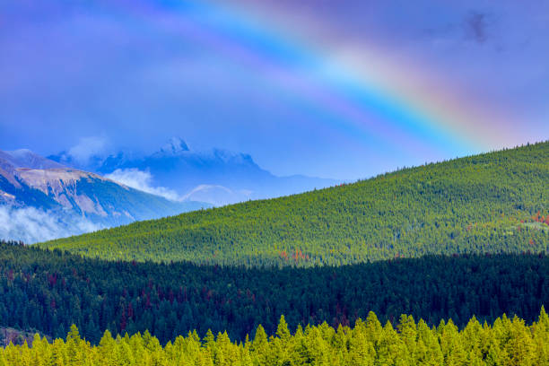 istock Jasper National Park in Alberta Canada 1126575133