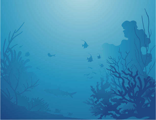 głębokie morze tła / wystrój pod morzem - podwodny ilustracje stock illustrations